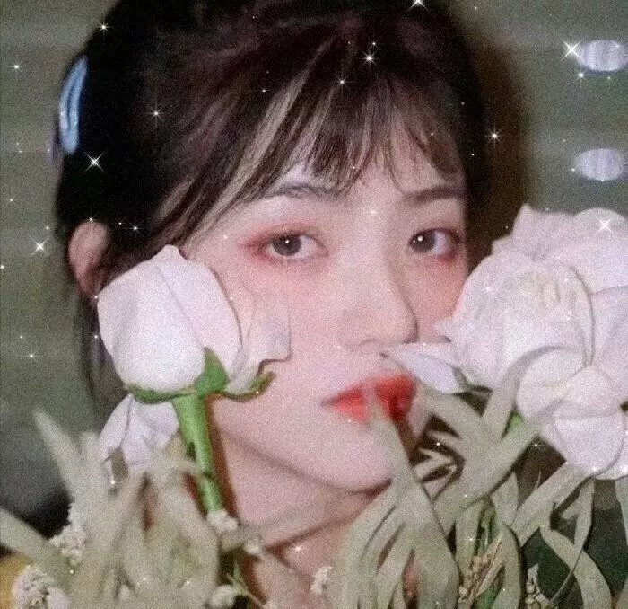 世界屋脊的太阳